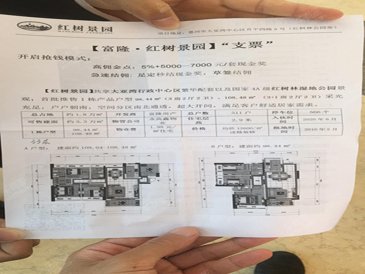红树景园qqq