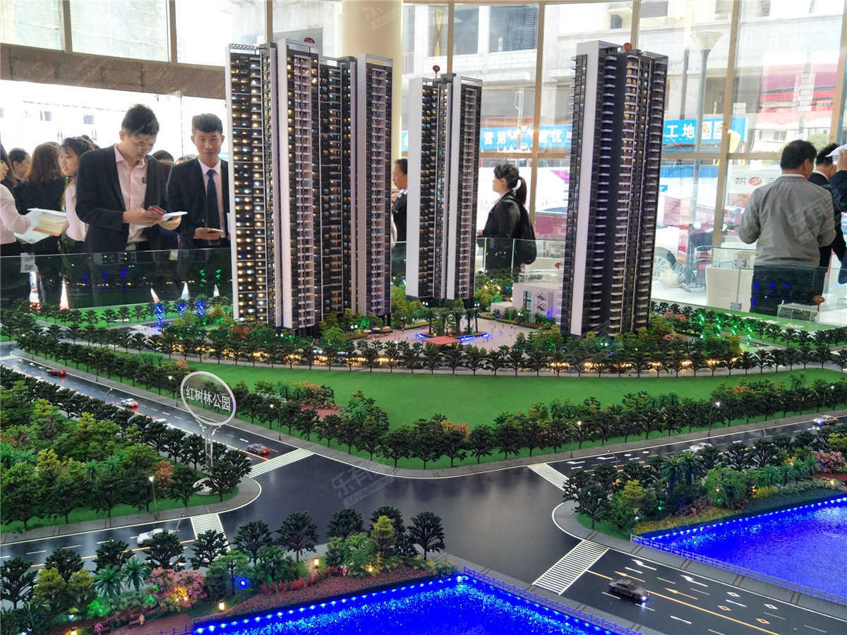 红树景园lp