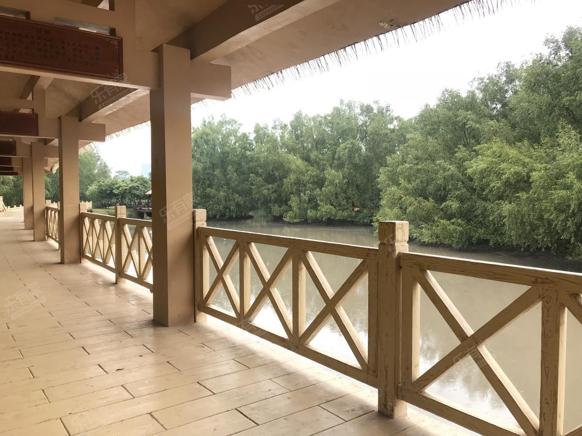 红树景园3333