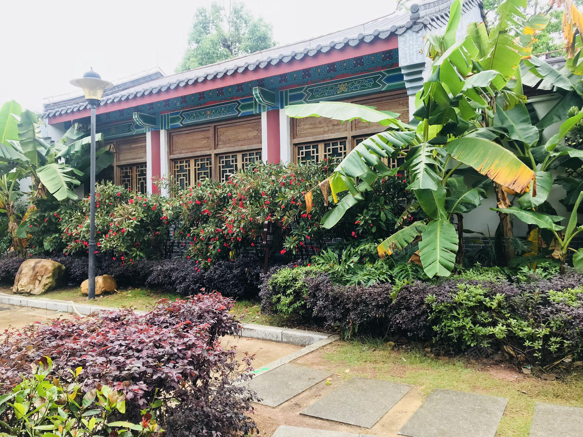 红树景园123222222222