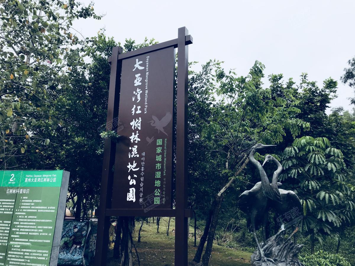 红树景园1111111