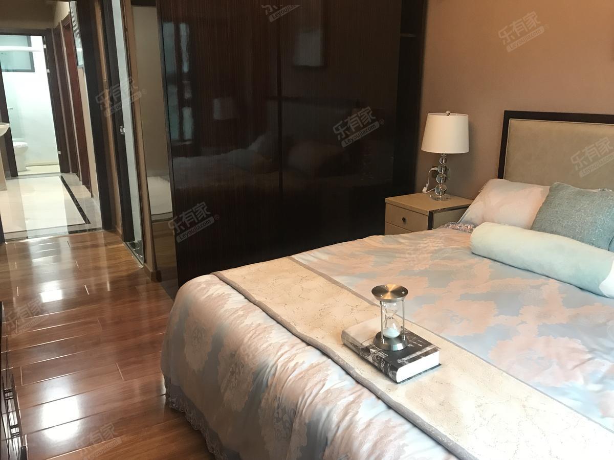 红树景园2345