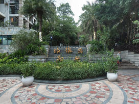 中海阳光玫瑰园实景图