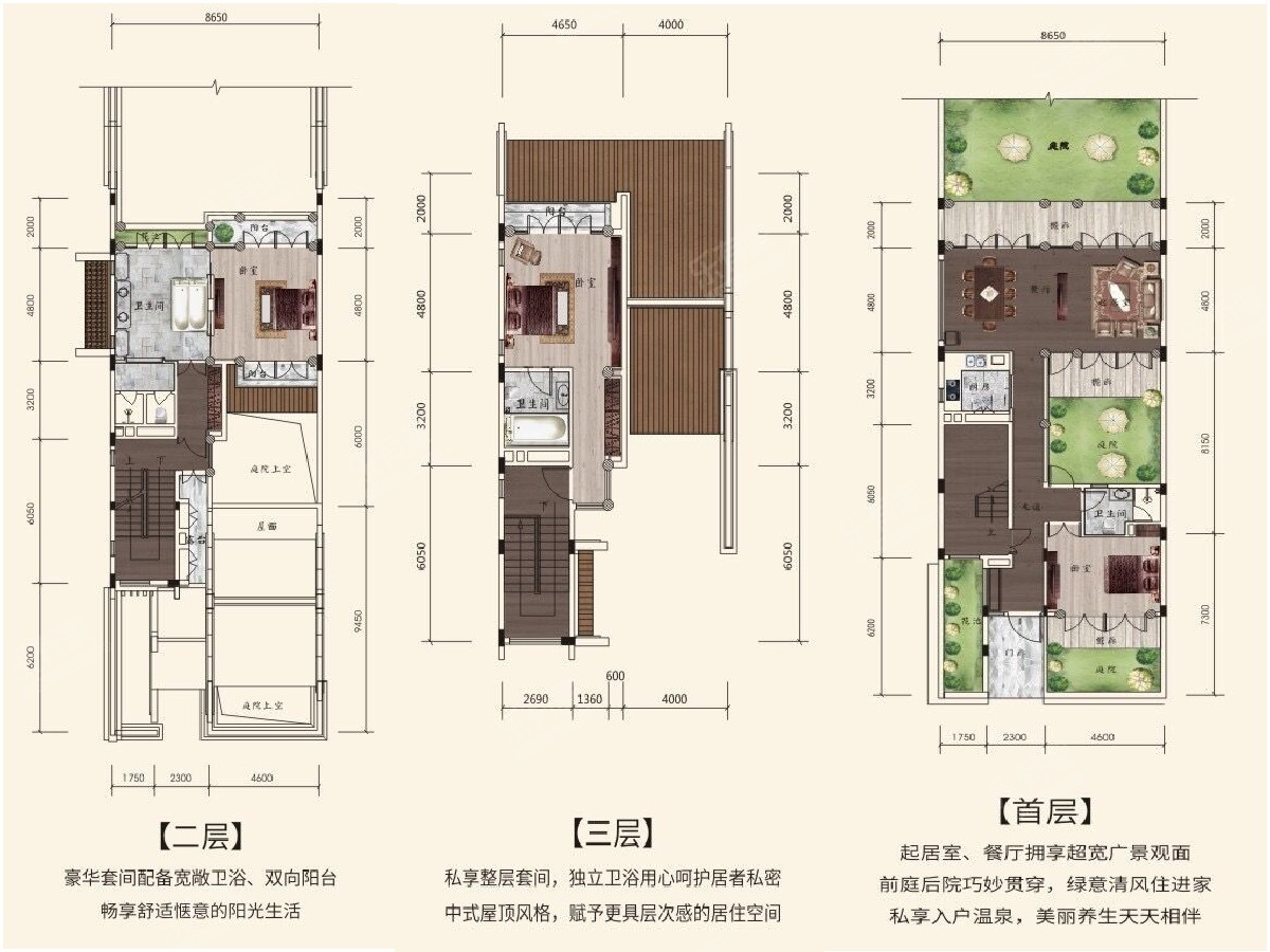 T1-中式户型