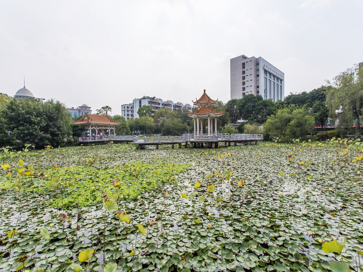 金域蓝湾石岐文化公园2