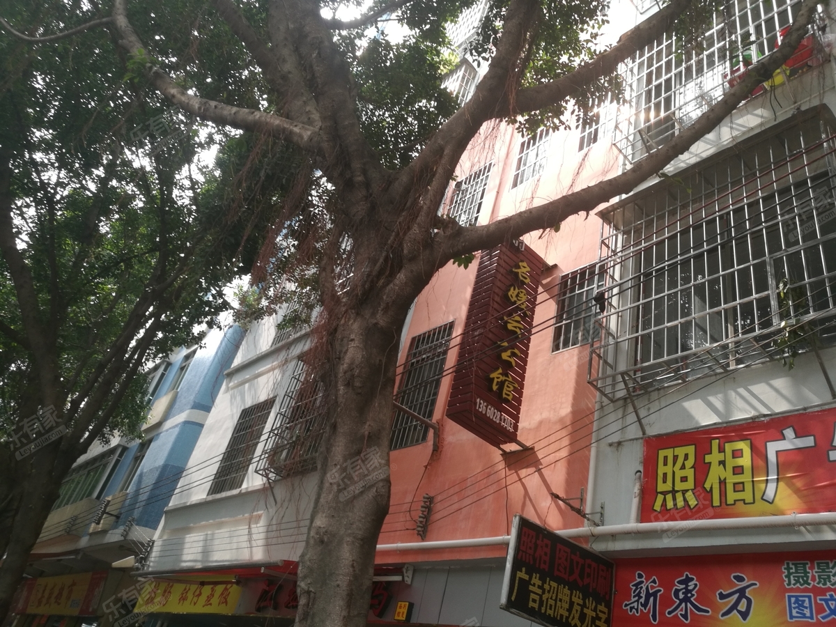 名媛云公馆