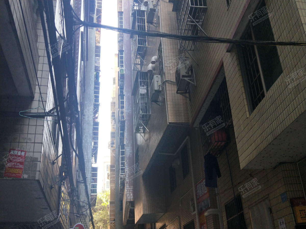 围福里