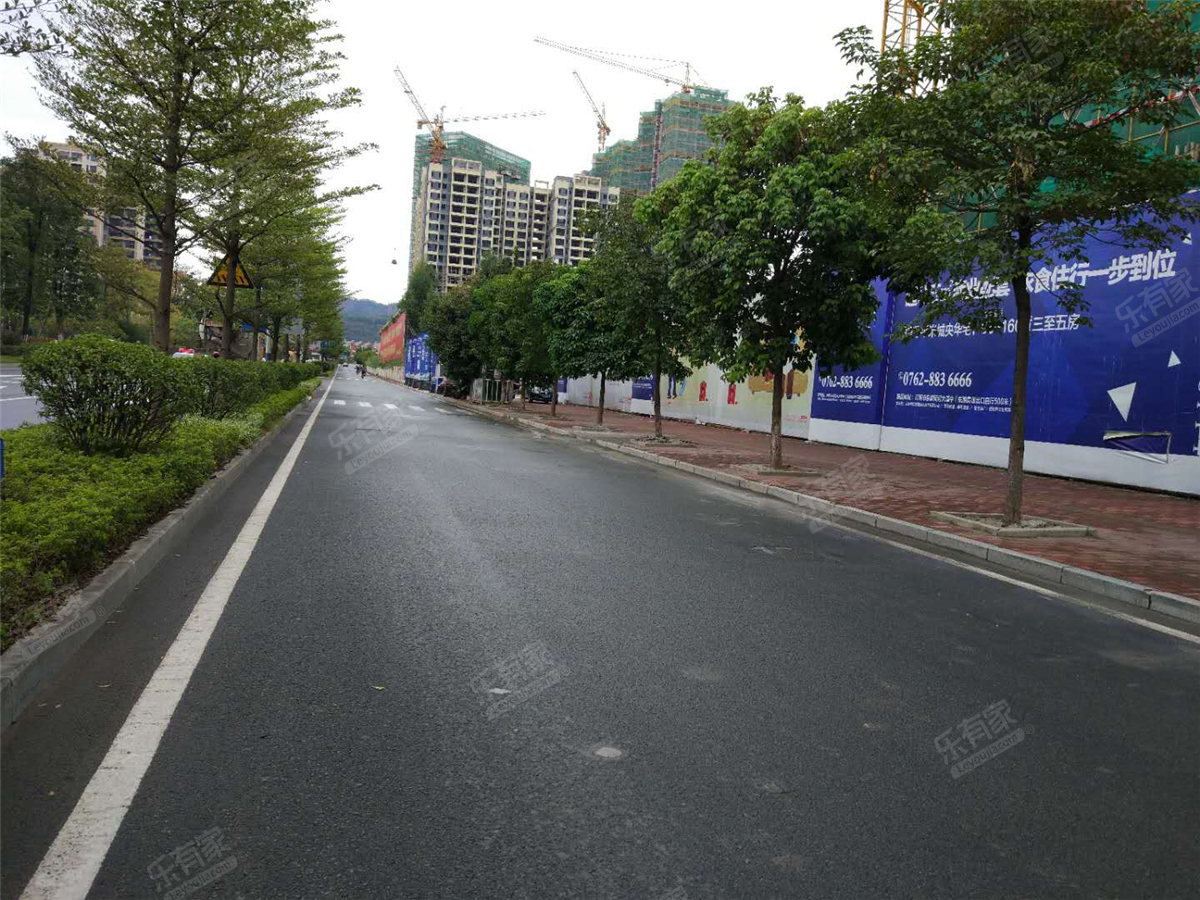 新河中央楼盘道路