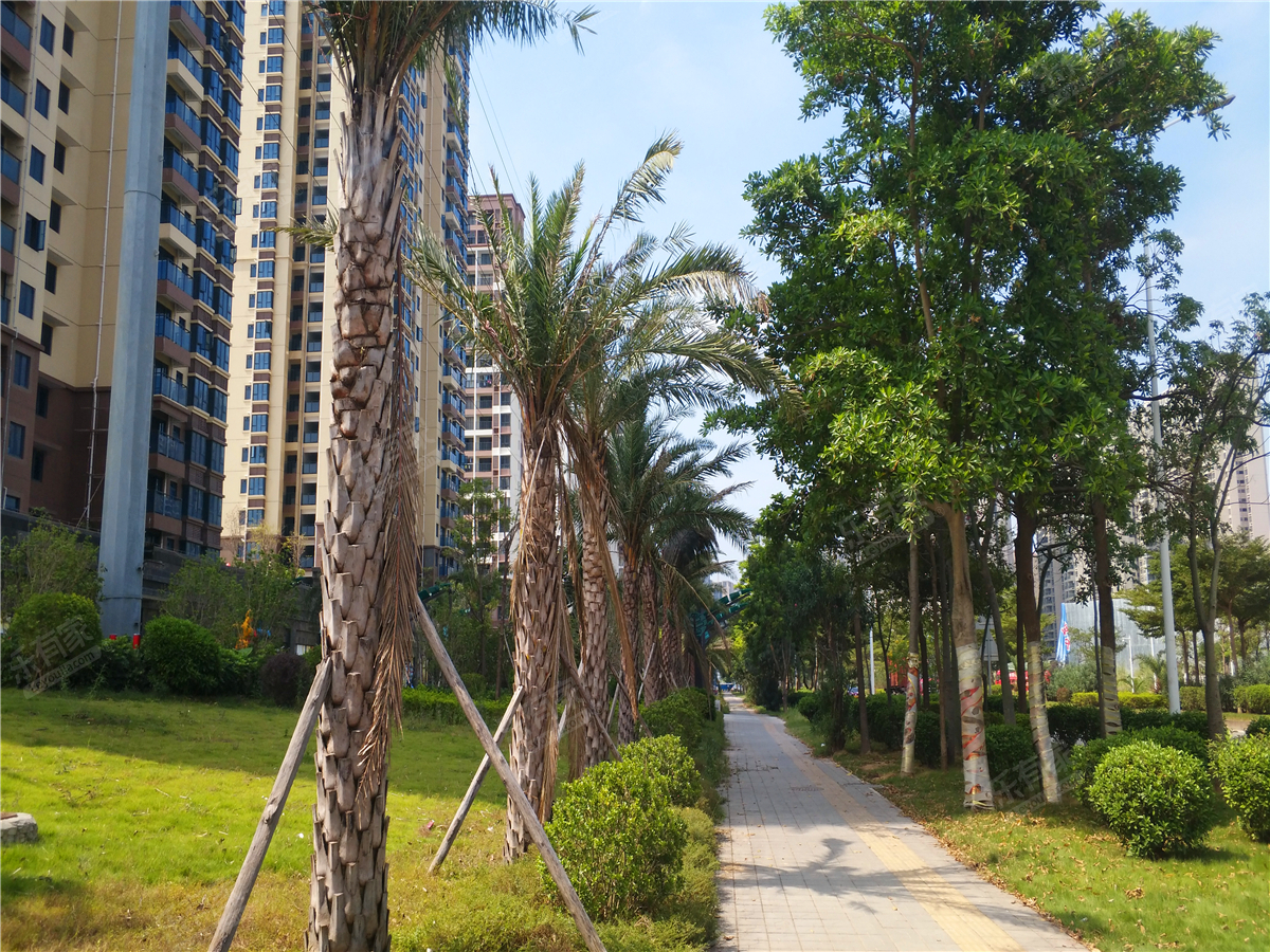 秋谷跃府效果