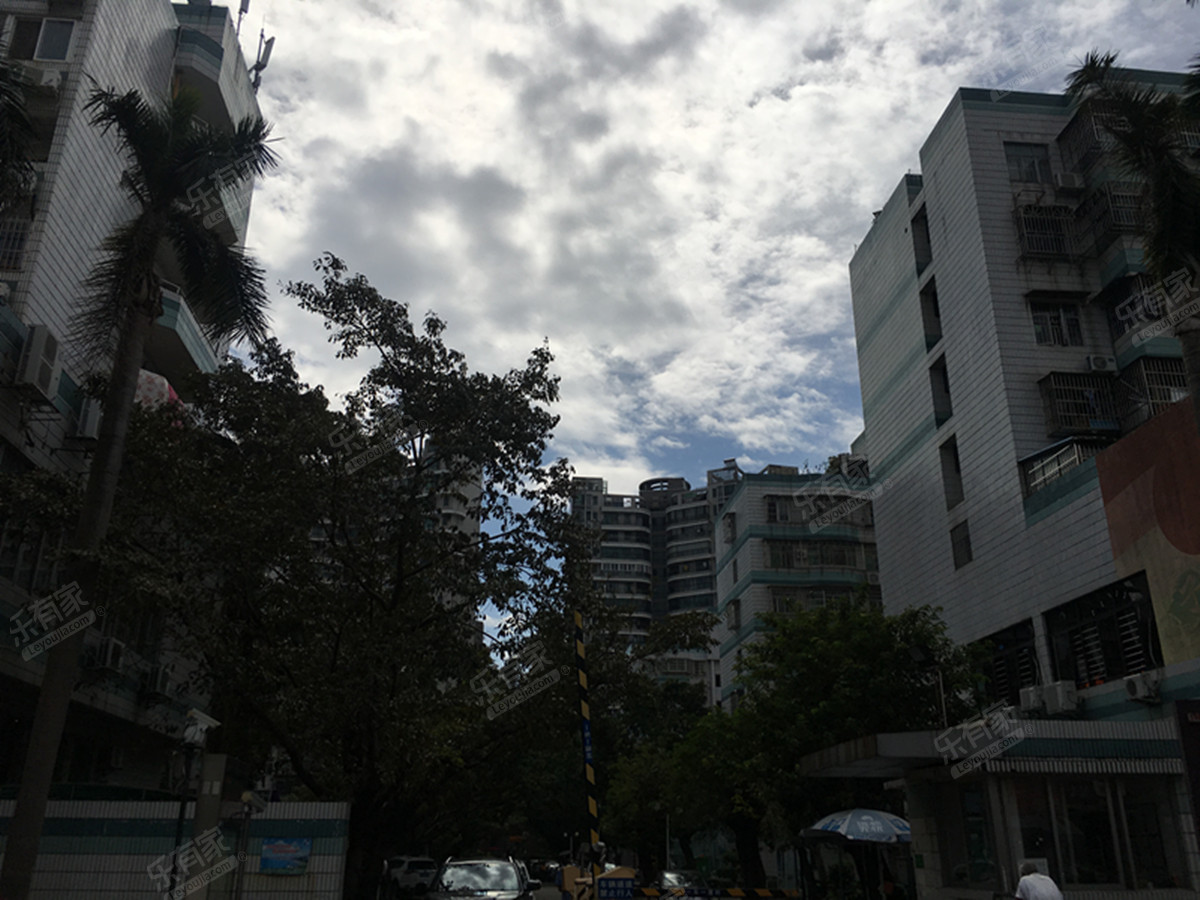 鸟巢美誉