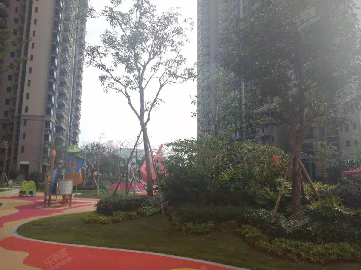 翡翠花园碧桂园翡翠湾二期7