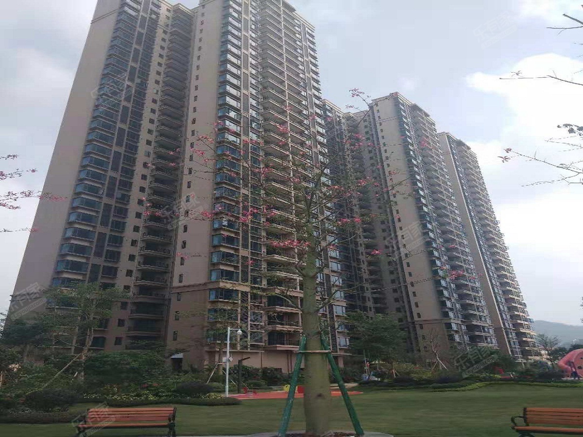 翡翠花园碧桂园翡翠湾二期15