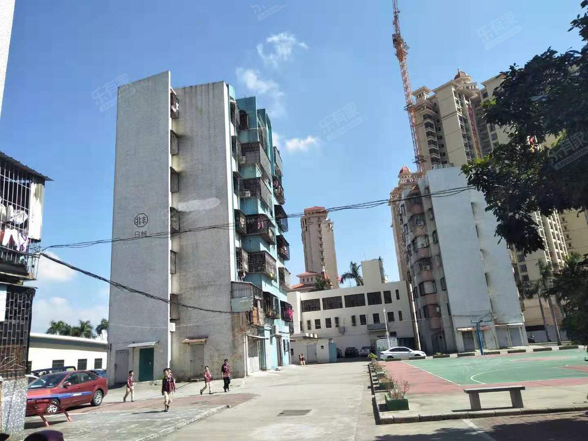 美丽村