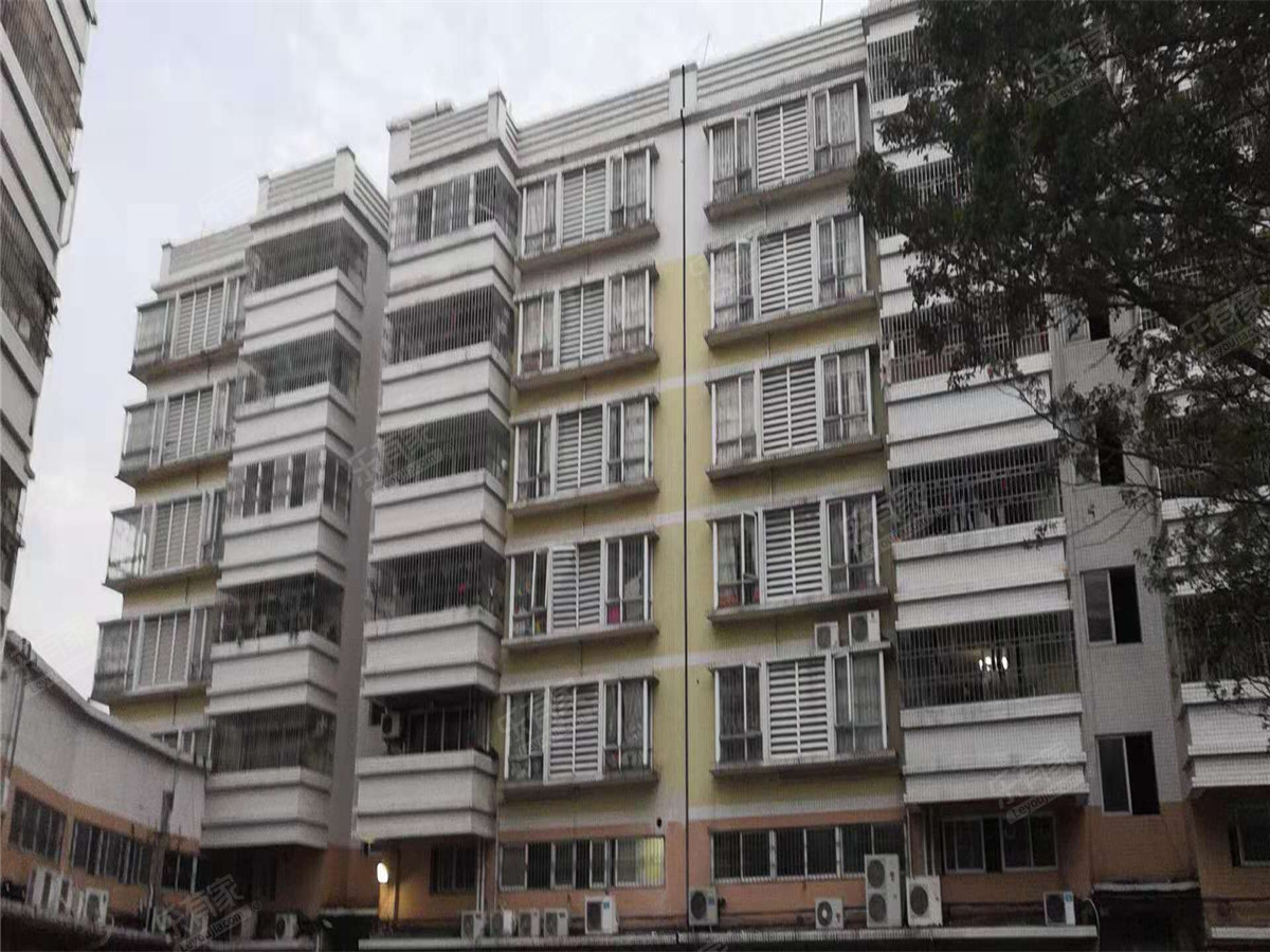 金城小区