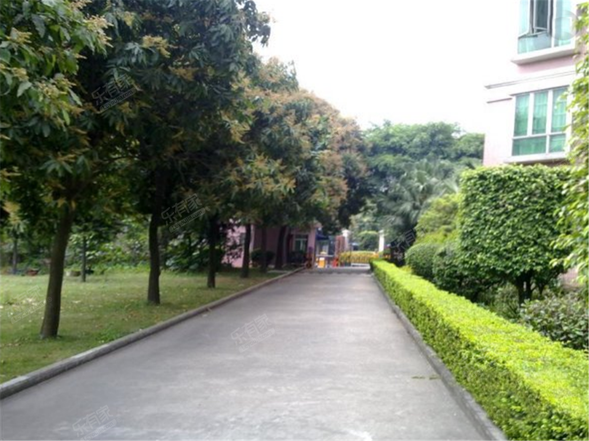 东圃边检宿舍_广州二手房