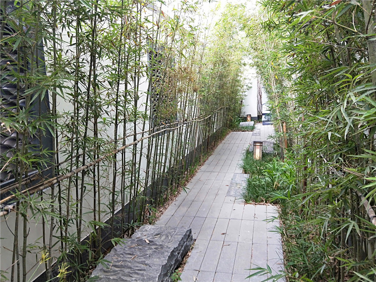 保利山水大院005