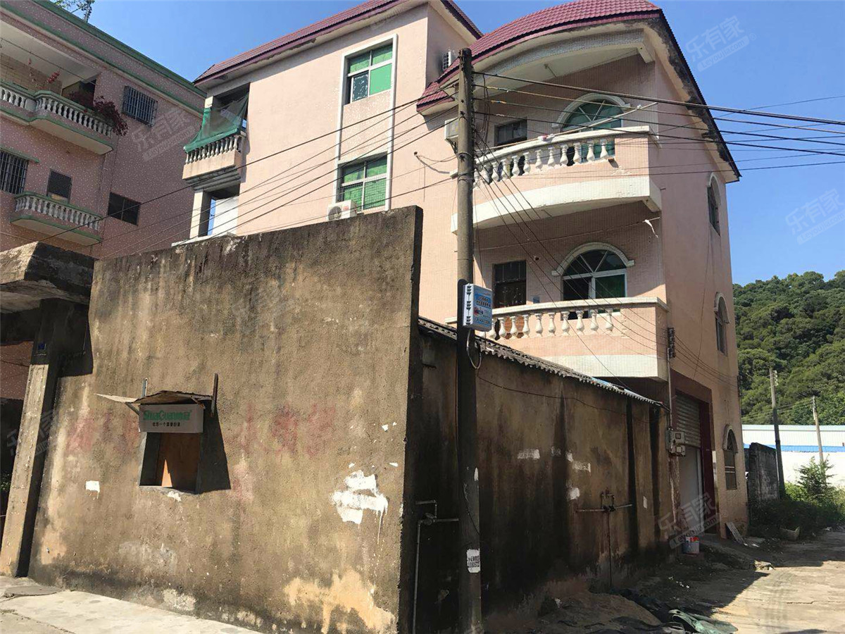 业主自建房-珠海阜沙镇自建房二手房