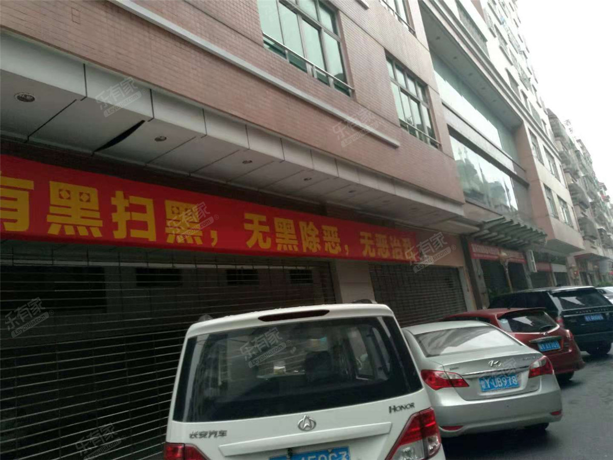 金逸轩