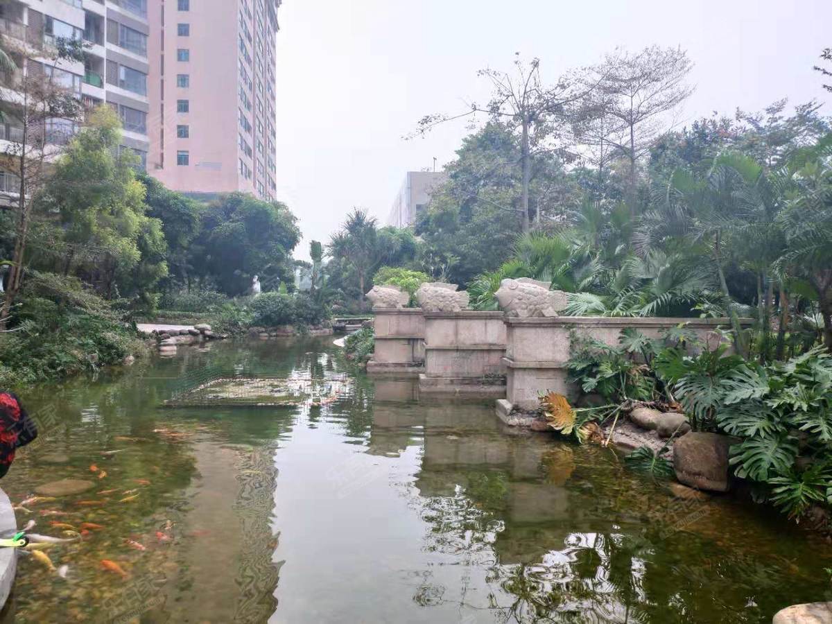 天安·东湖花园实景图