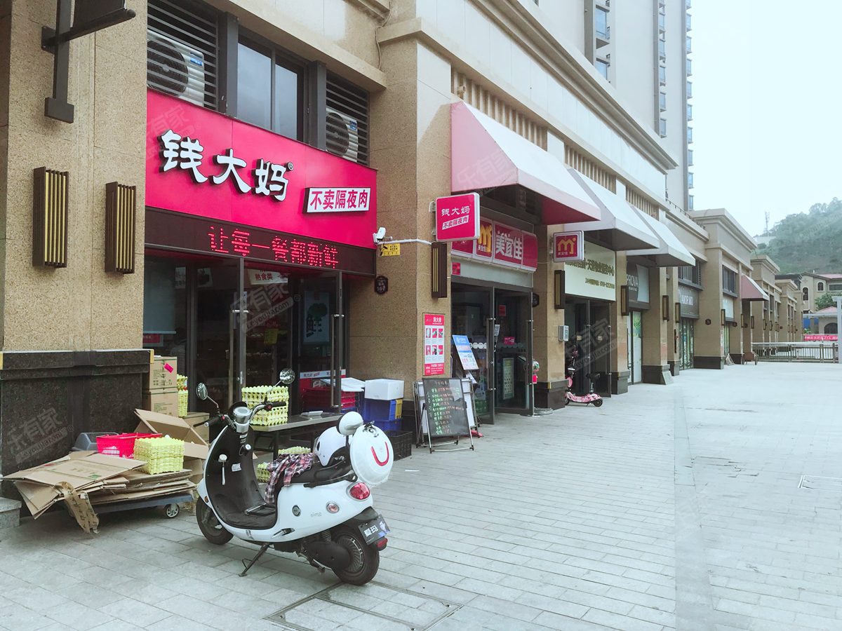 碧桂园天誉010