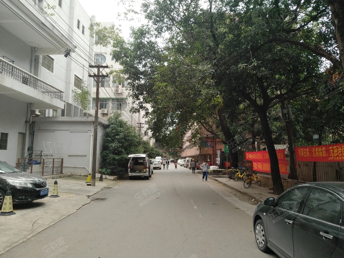 广钢宿舍_广州二手房