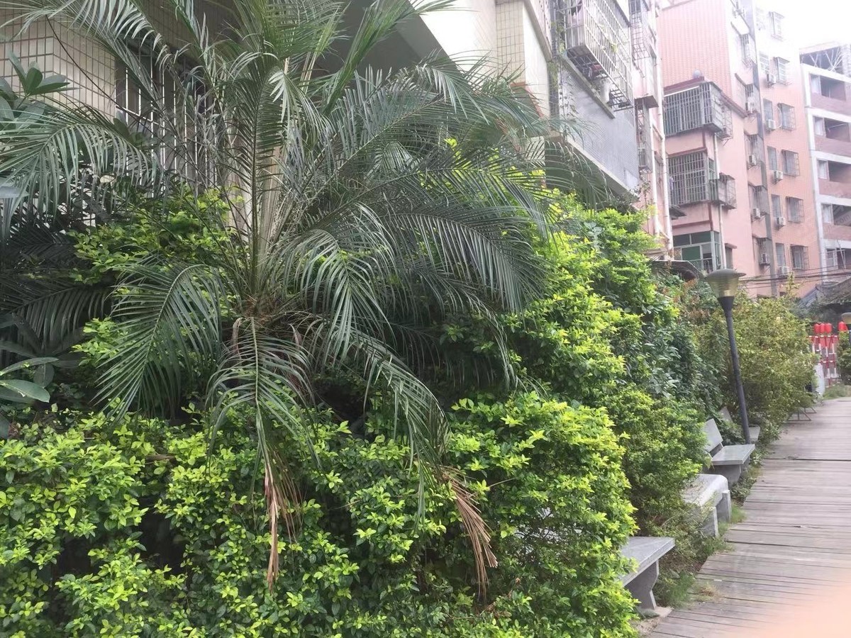 珠村江湖公寓