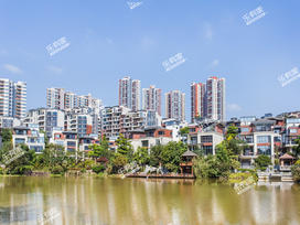 惠州保利山水城实景图