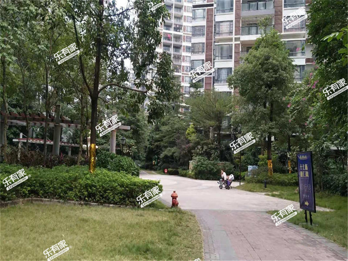 凤城明珠花园实景4