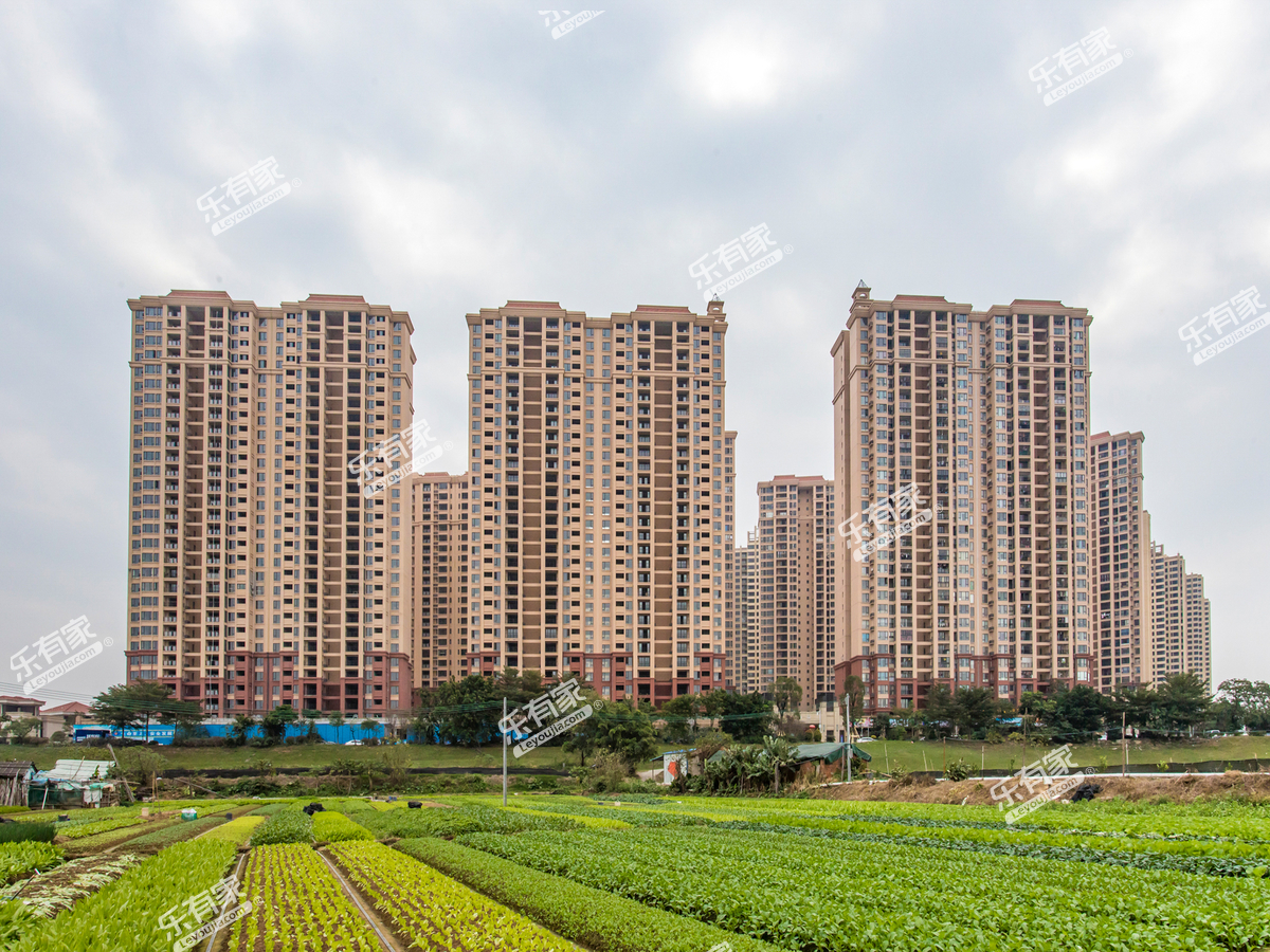 西樵滨江花园锦绣龙湾小区实景图3