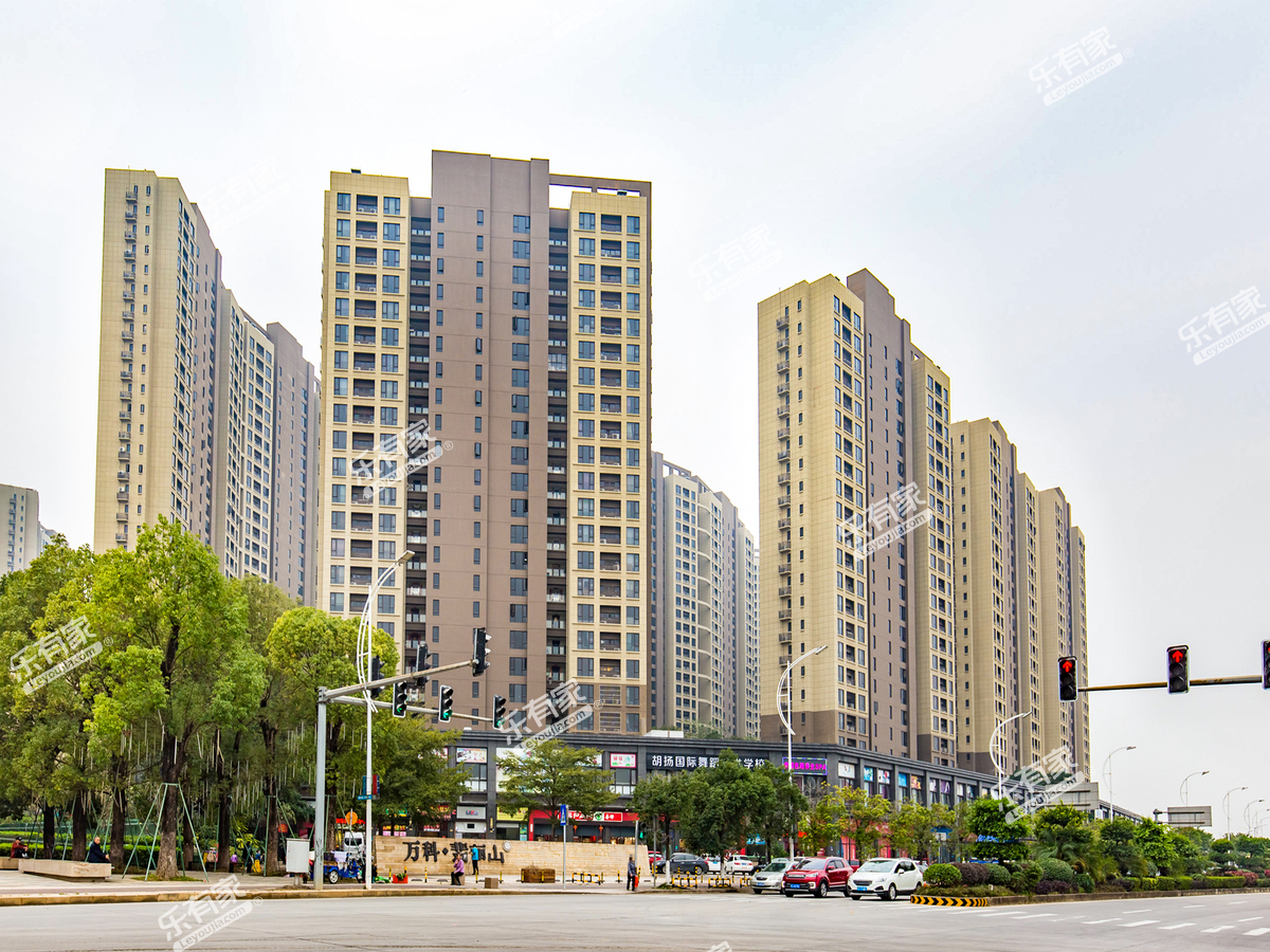万科翡丽山外景4
