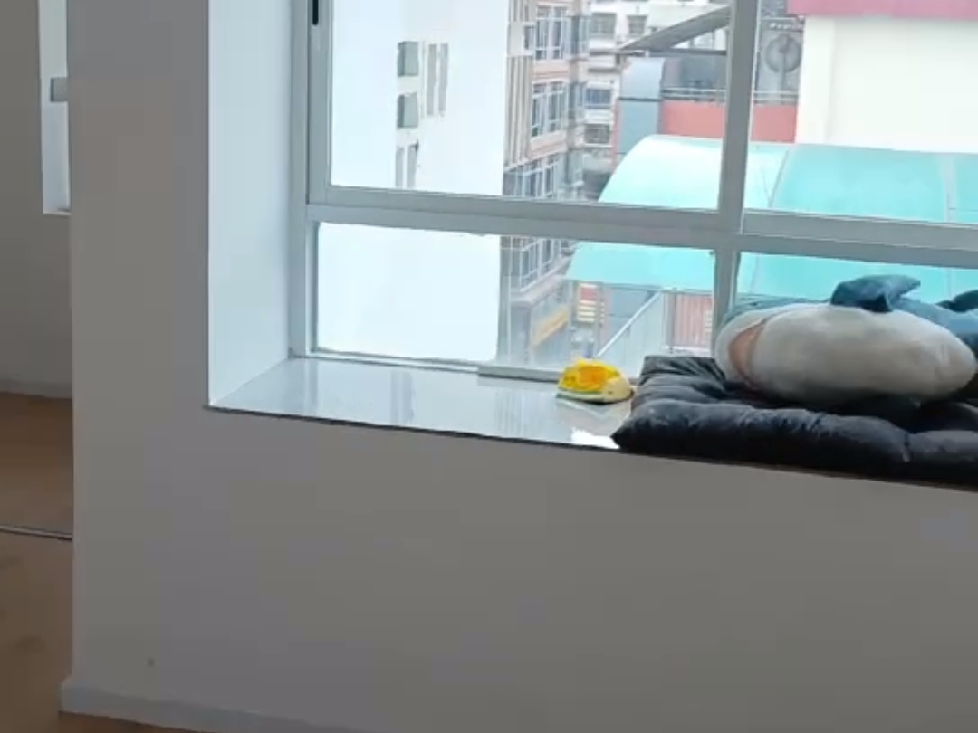 宝民花园视频看房
