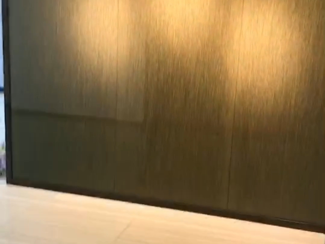 南园枫叶大厦视频看房