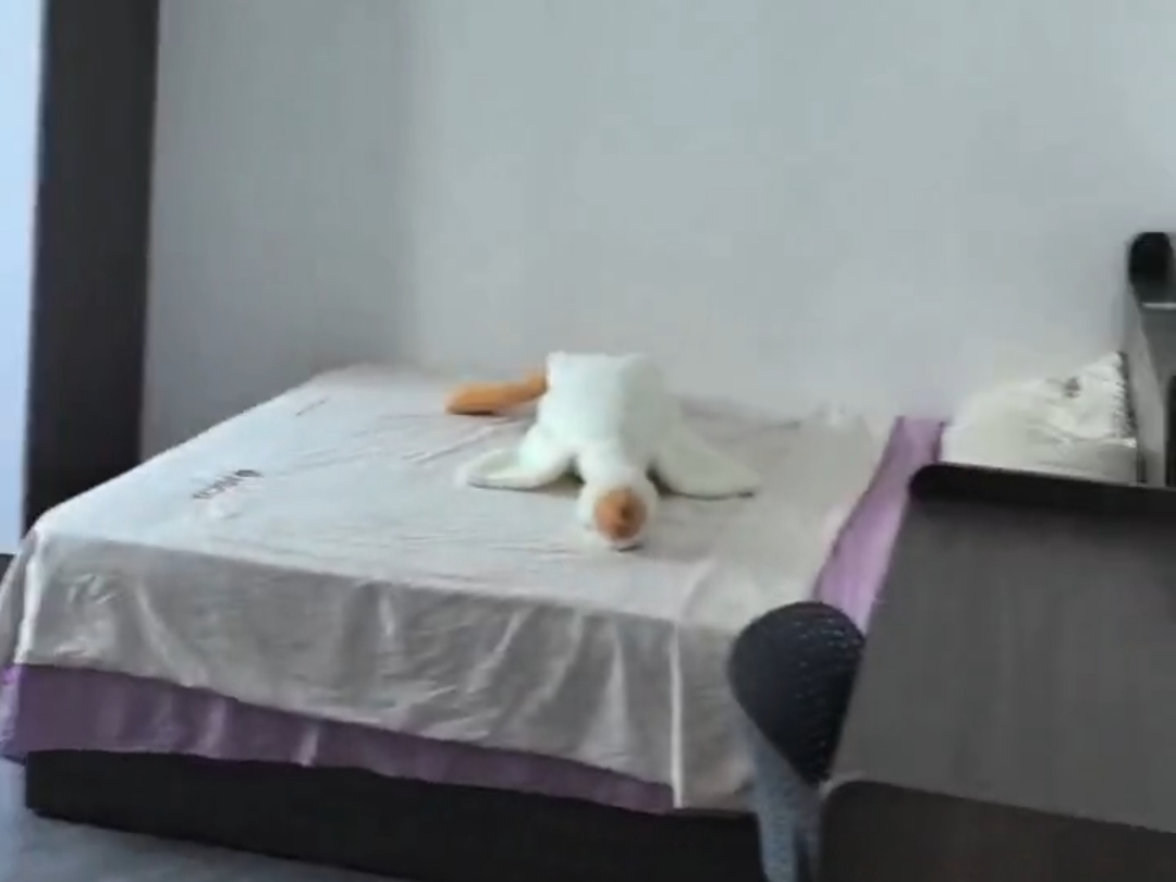 庆泰公寓视频看房