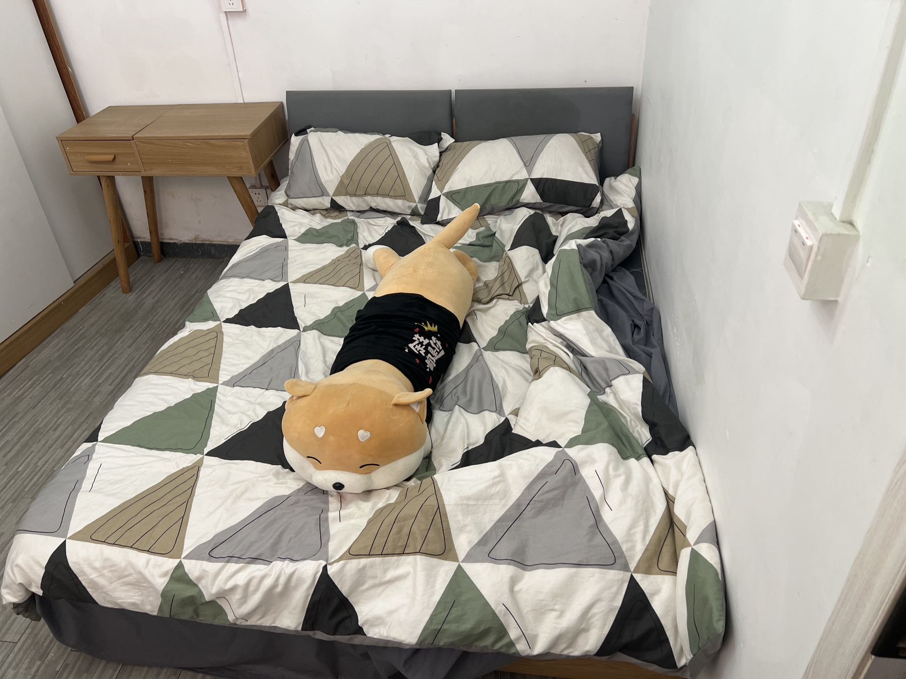 大爱城公寓视频看房