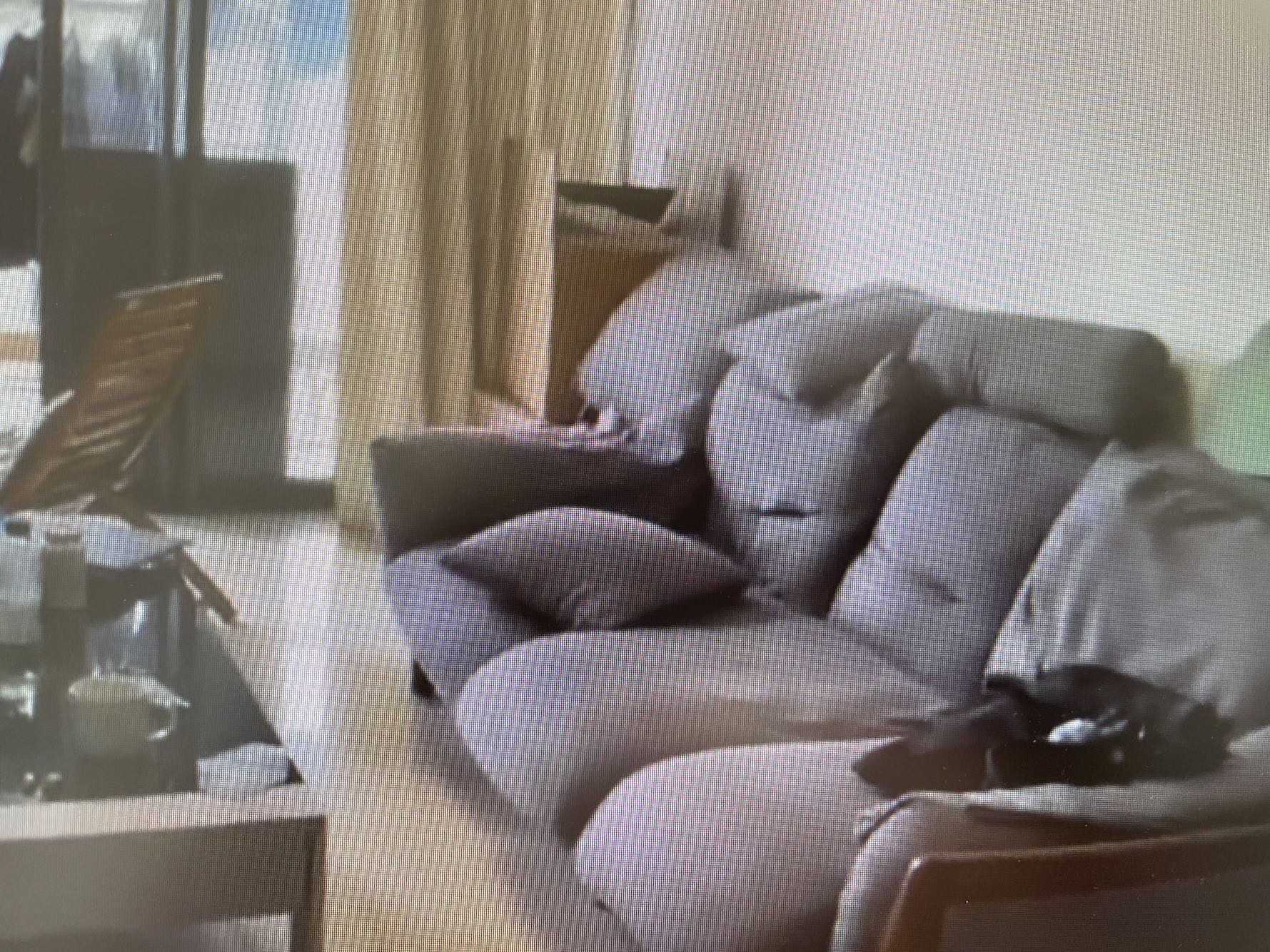 春树里视频看房