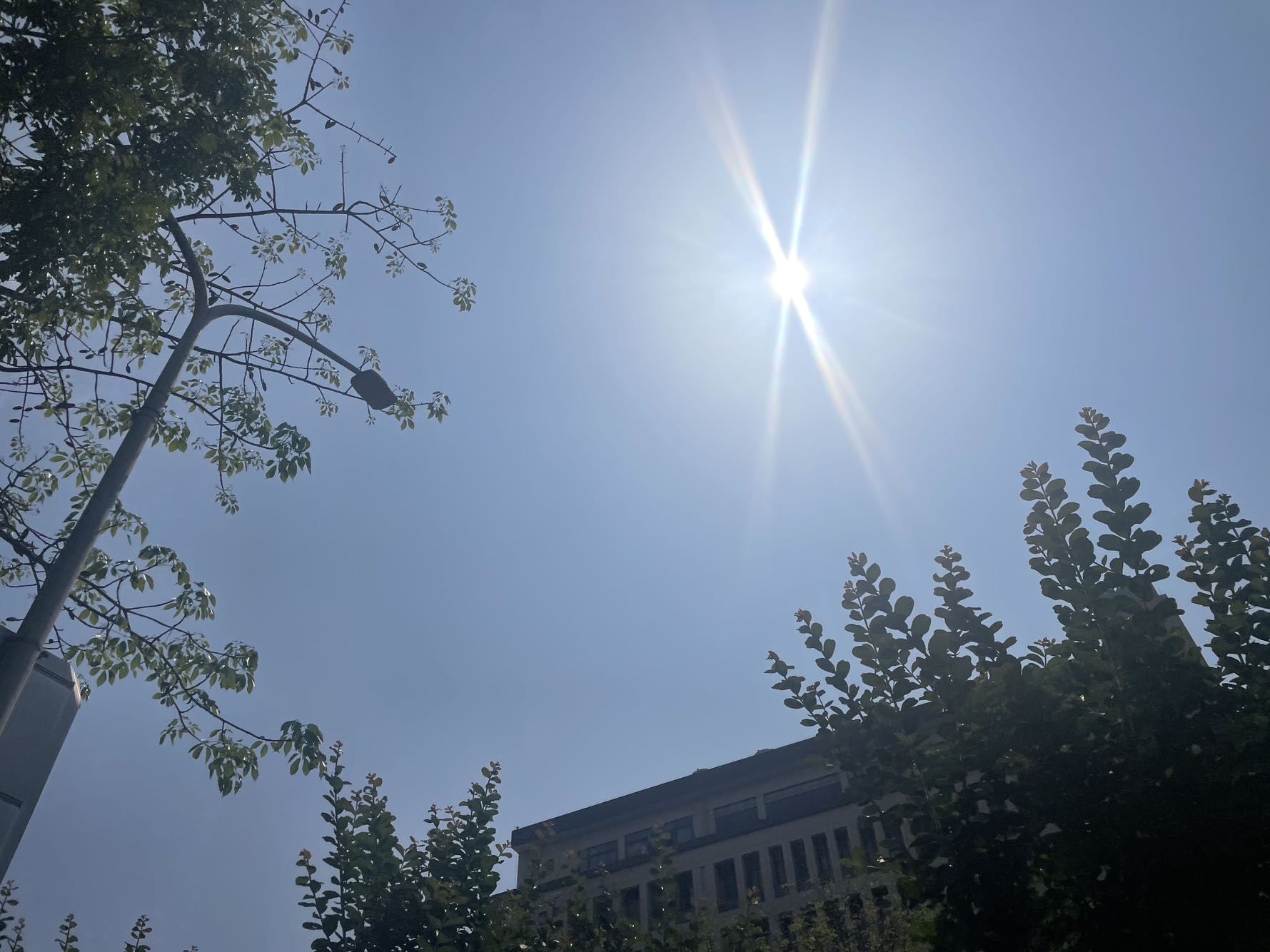 紫元元大厦视频看房