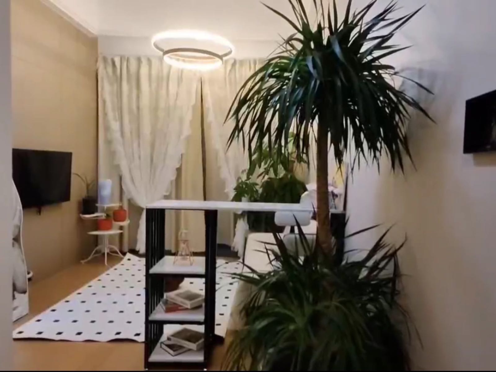 仁恒梦公寓视频看房