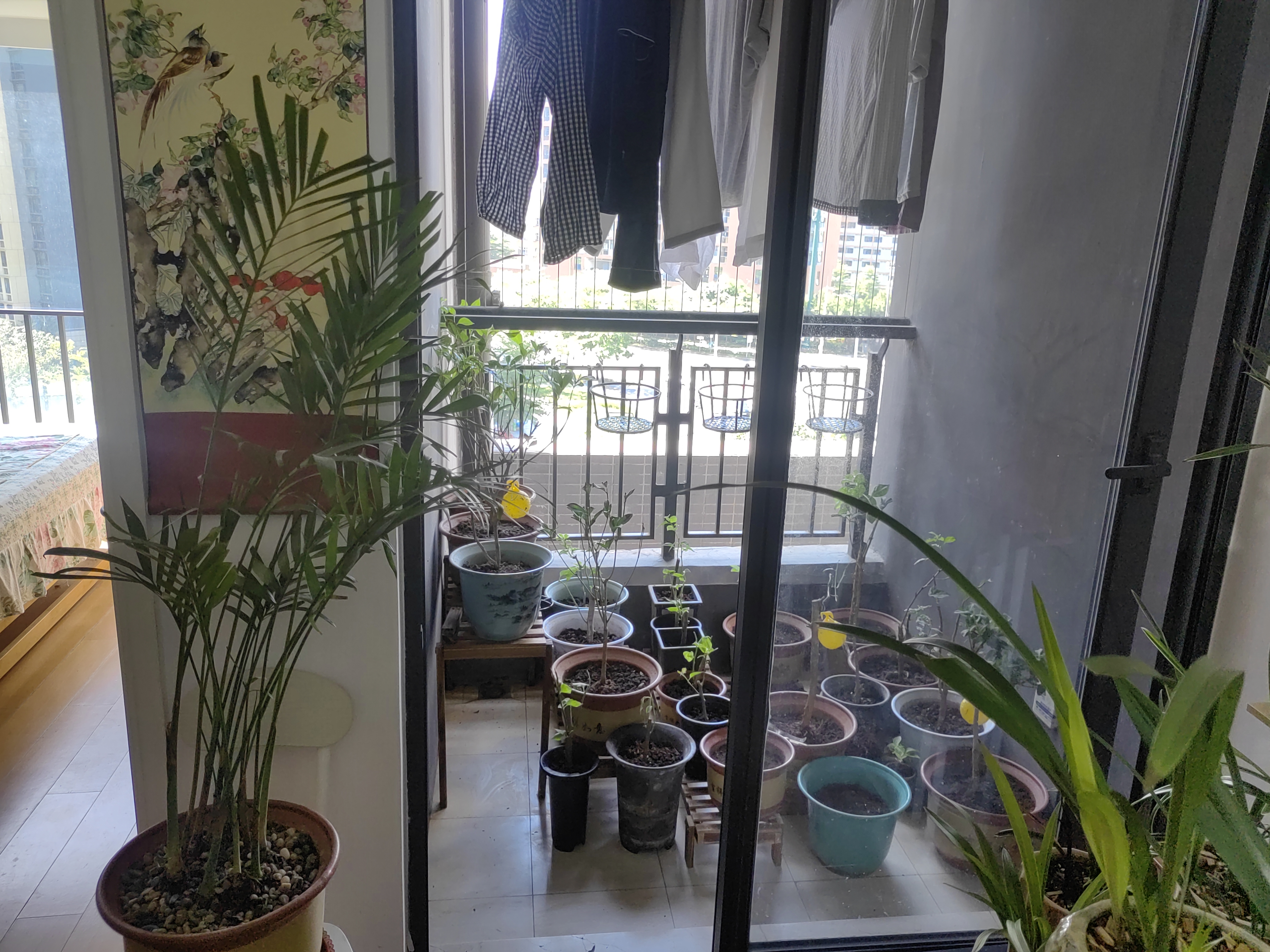 中海康城花园视频看房