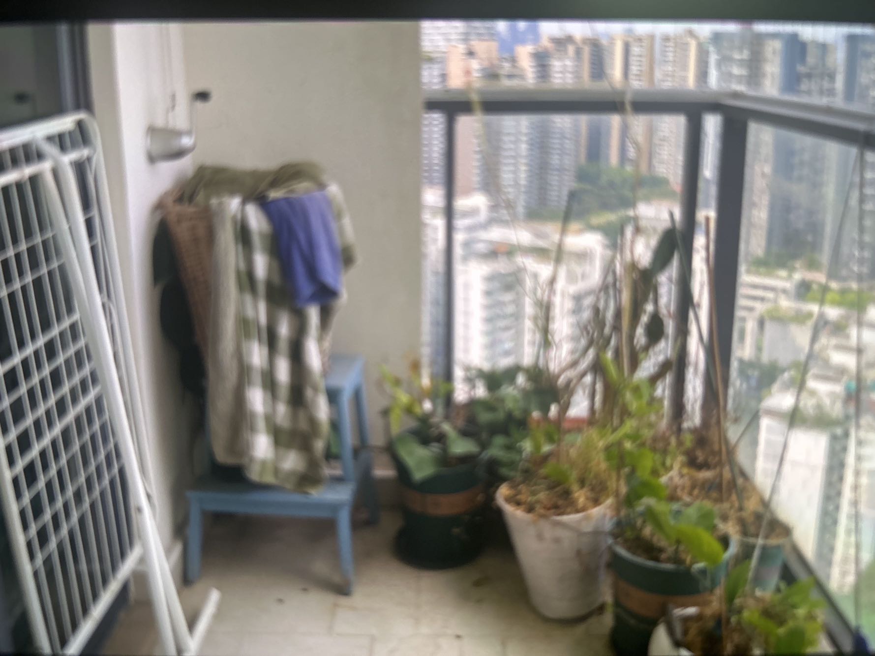 栖游家园视频看房