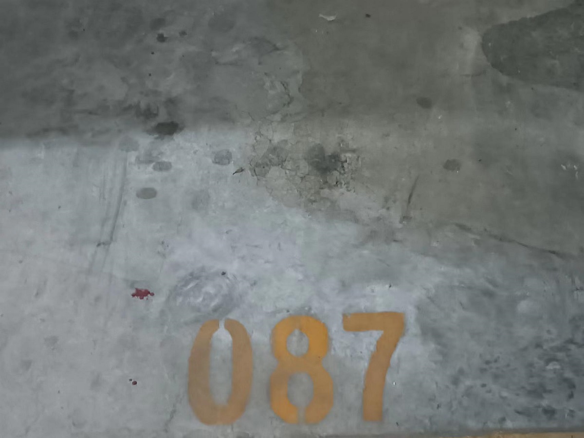 奥园金莎广场视频看房