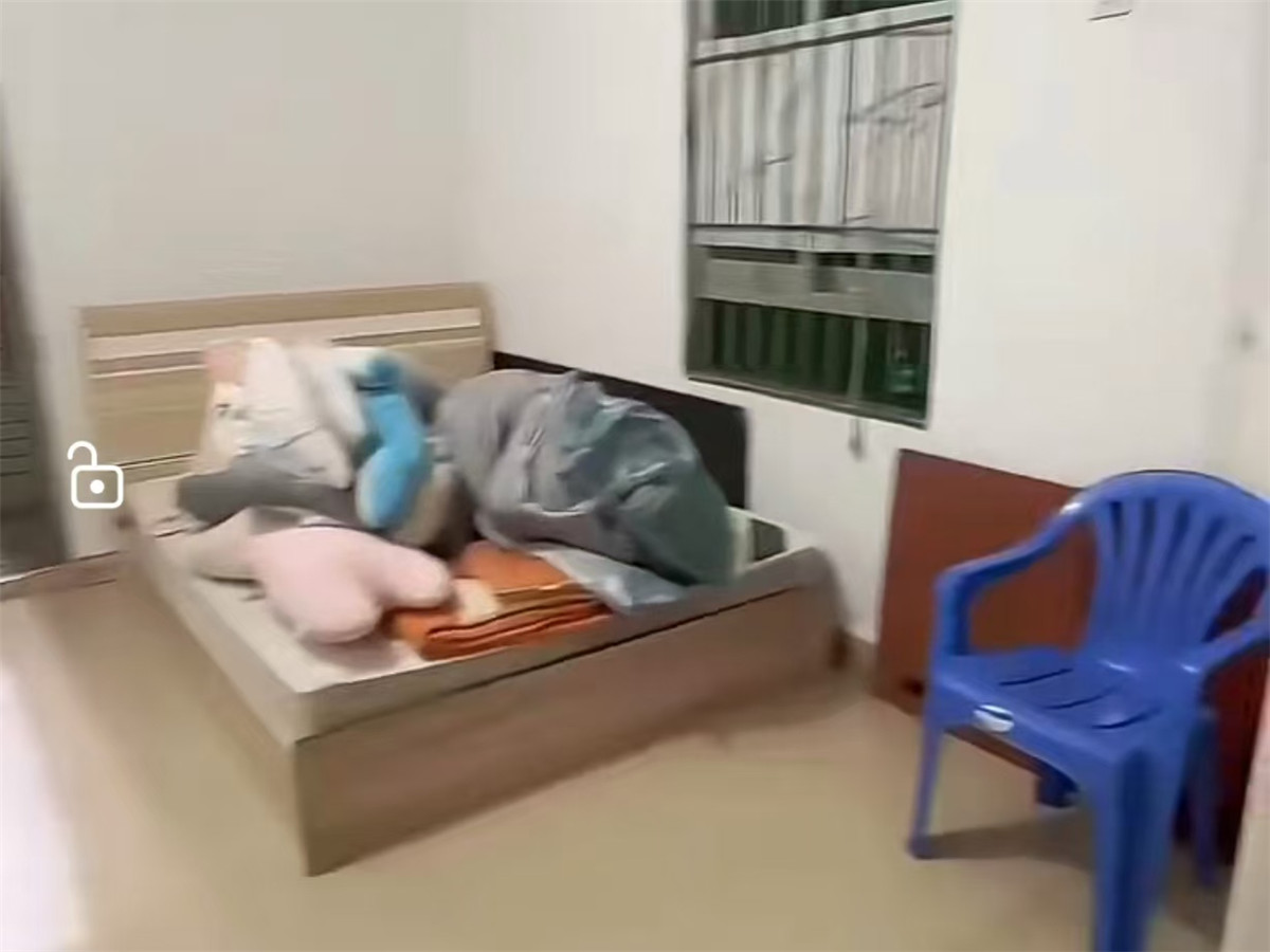 新洲北村 1房0厅1卫 25㎡