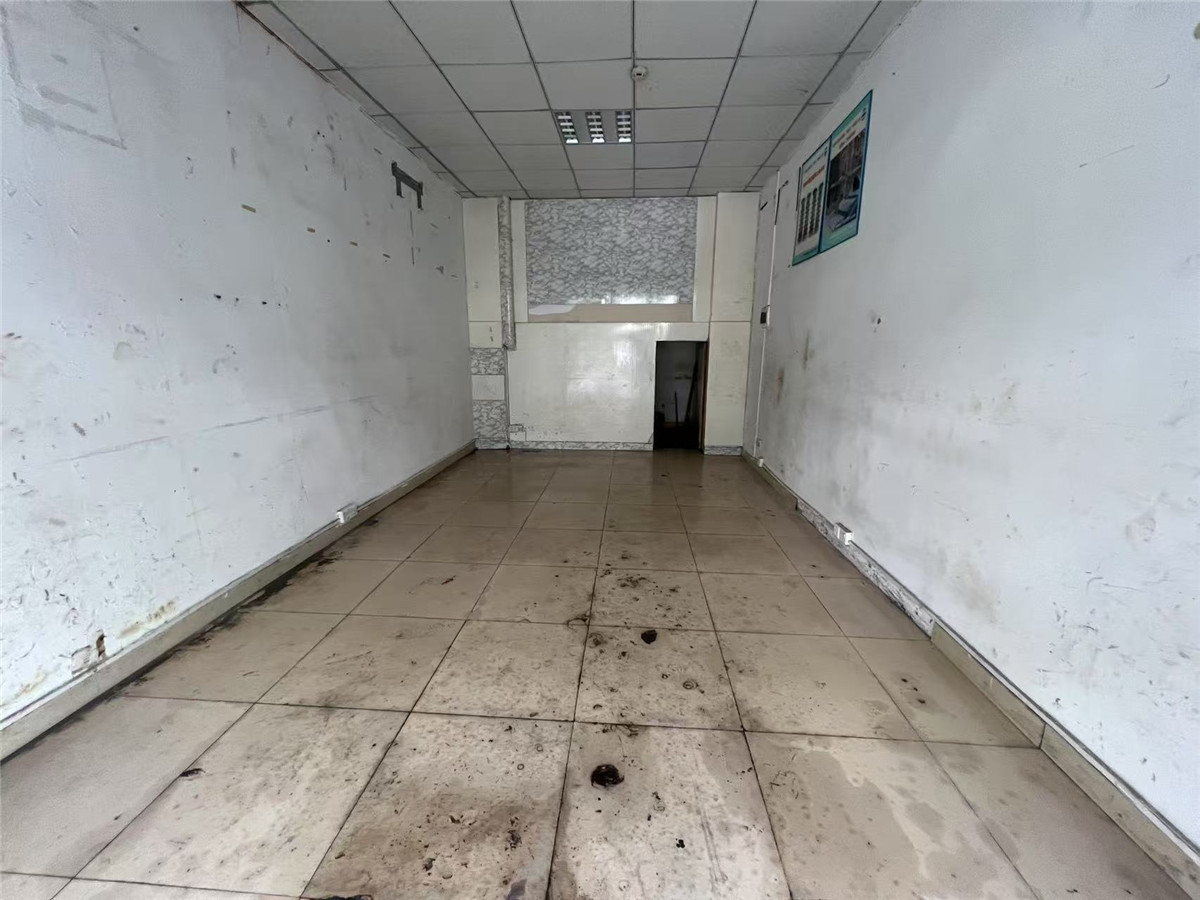 可乐园 商铺 45.56㎡-深圳可乐园租房