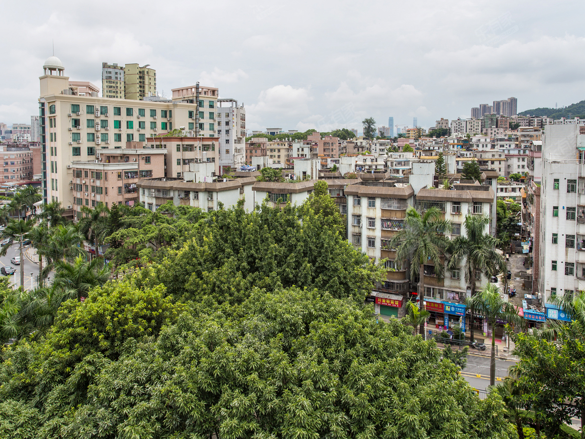 龙富花园(布吉)_深圳二手房